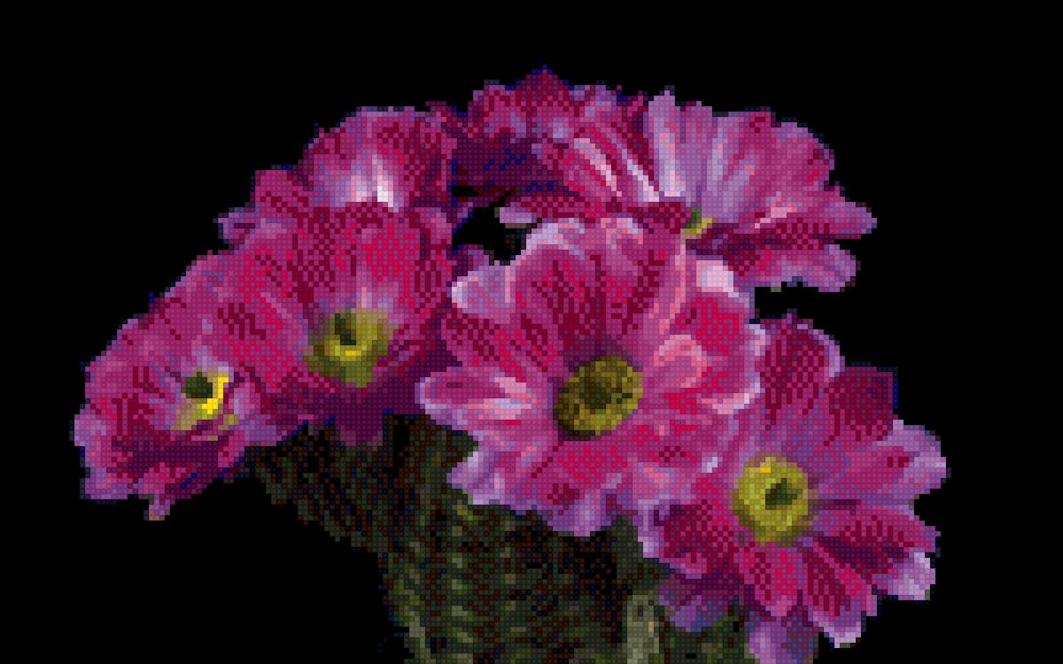 Кактус - цветы, черный - предпросмотр