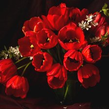 Схема вышивки «Тюльпаны»