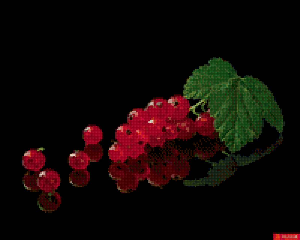 Смородина - красный, ягоды, отражение, черный - предпросмотр