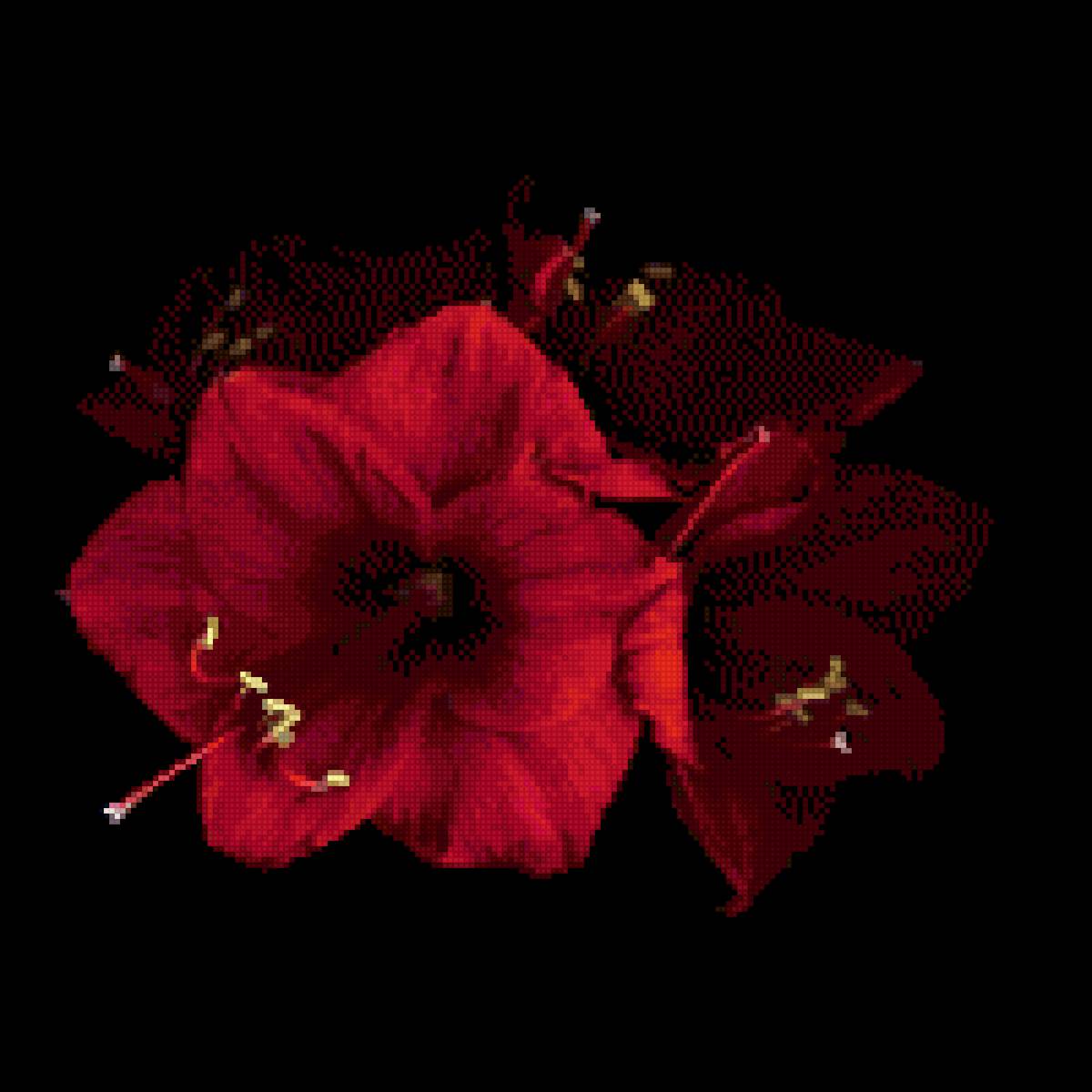 Цветы - цветы, черное, красное - предпросмотр