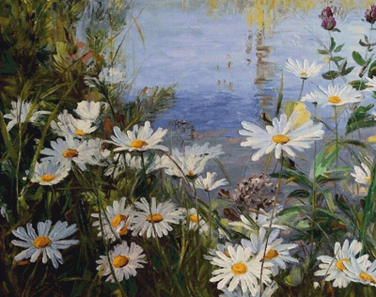 Ромашки - лето, вода, ромашки - предпросмотр