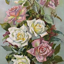 Схема вышивки «Розы»