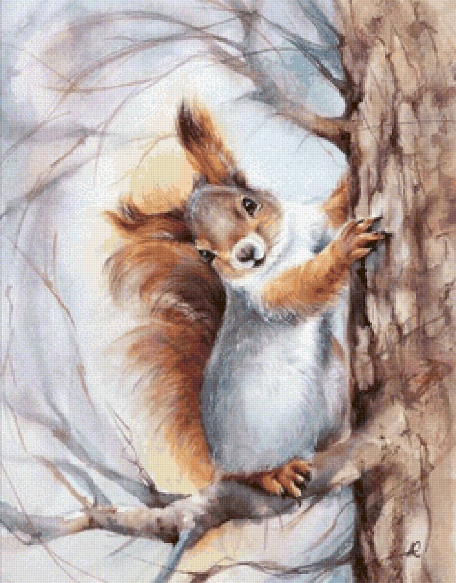 Белочка - дикие животные, белка - предпросмотр