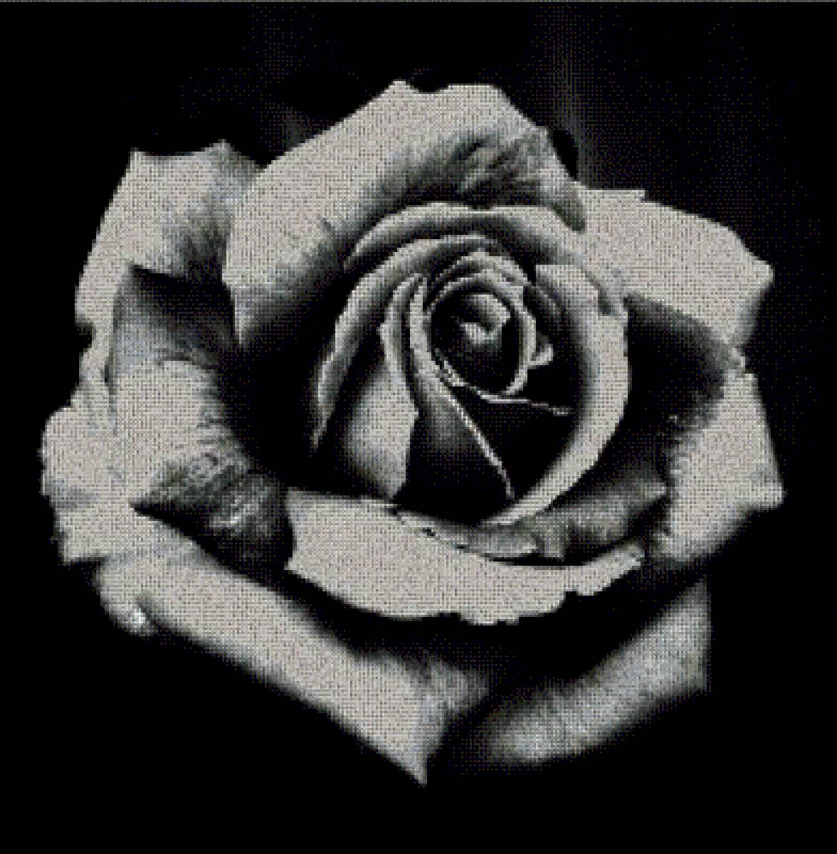 №2606089 - предпросмотр