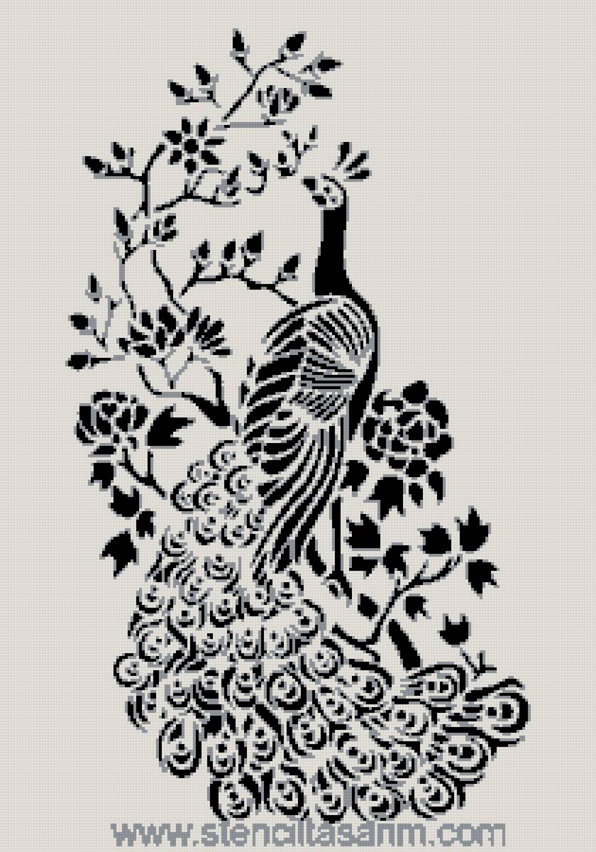 жар птица - арт - предпросмотр