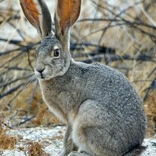 Схема вышивки «№2606422»