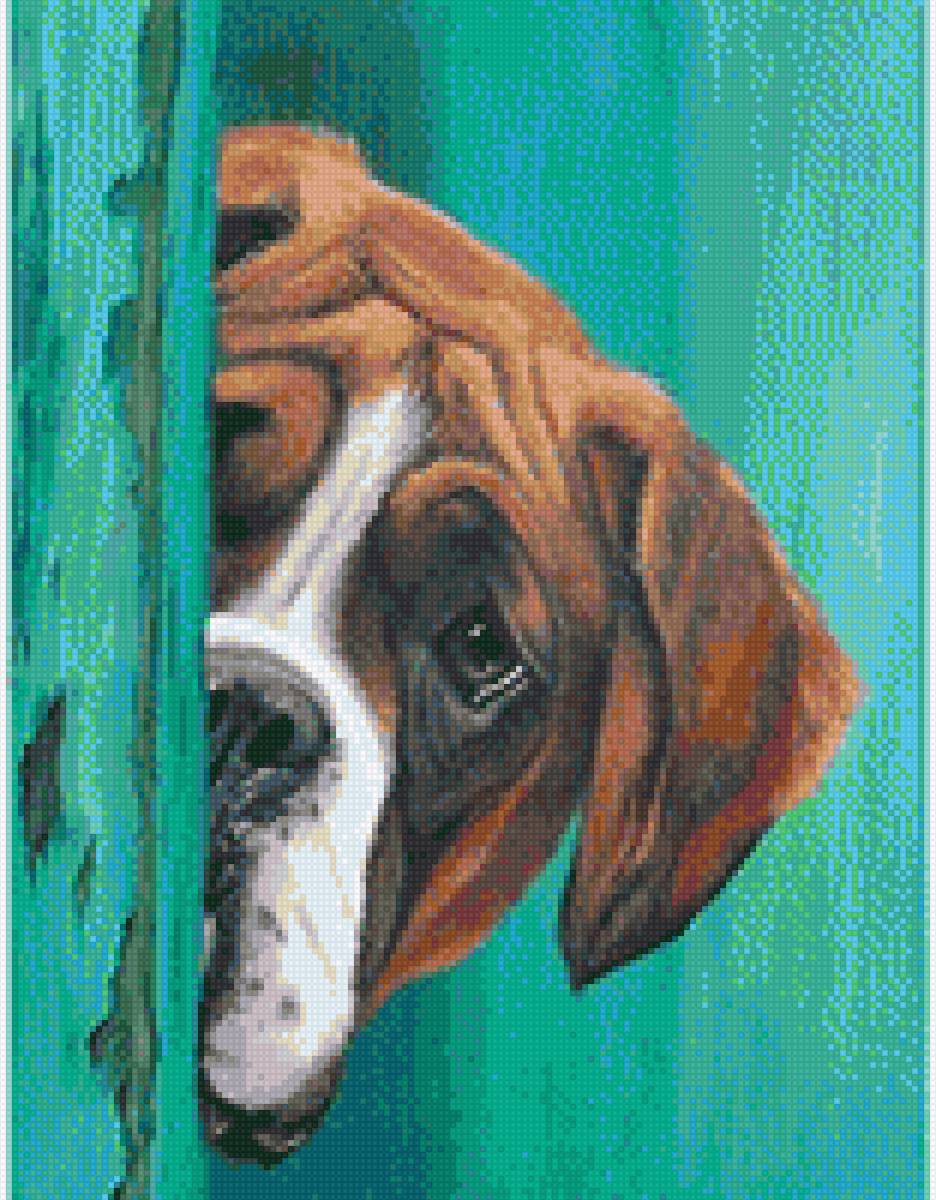 dog - #dog - предпросмотр