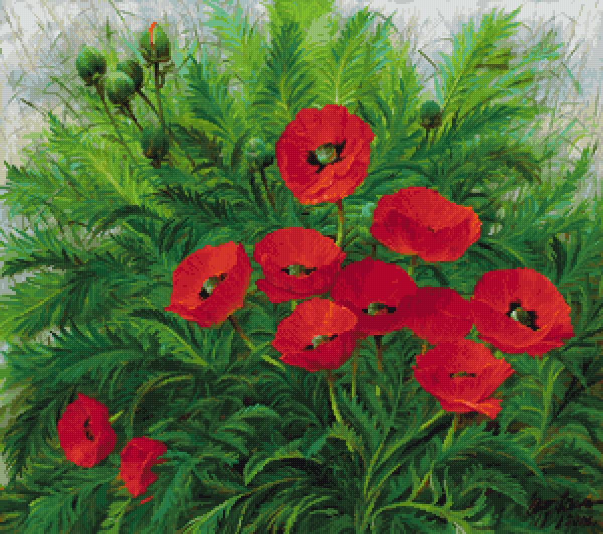 Юрий Арсенюк - цветы, юрий арсенюк, маки - предпросмотр