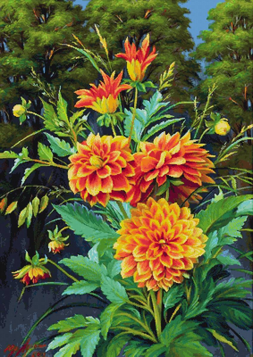 Юрий Арсенюк, Георгины. - цветы, юрий арсенюк, георгины - предпросмотр