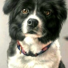 Схема вышивки «Верный друг»