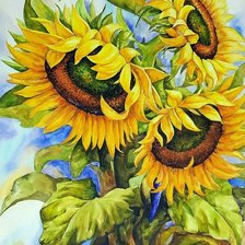 Схема вышивки «Подсолнухи»