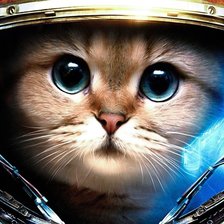 Схема вышивки «Кот в космосе»