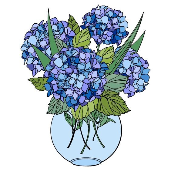 гортензия - цветы - оригинал
