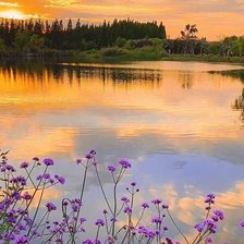 Схема вышивки «Летний закат»