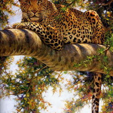 Схема вышивки «Лео на дереве»