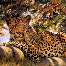 Схема вышивки «№2608050»