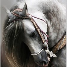 Схема вышивки «Конь»