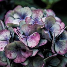 Схема вышивки «Цветок»