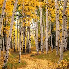 Схема вышивки «Нескучная осень»