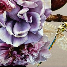 Схема вышивки «Anne Middleton»