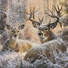 Схема вышивки «№2609726»