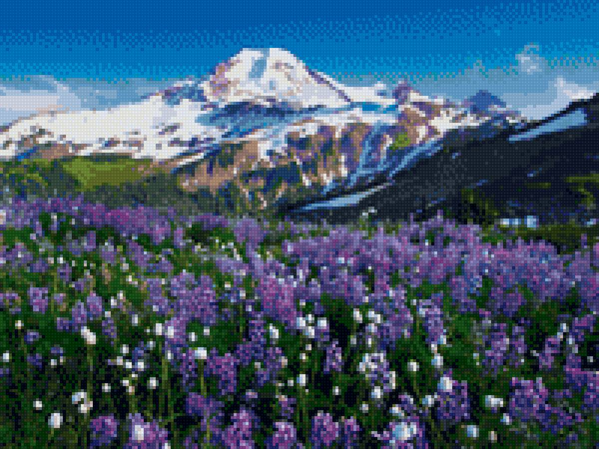 Эльбрус в цветах - горы, эльбрус, цветы - предпросмотр