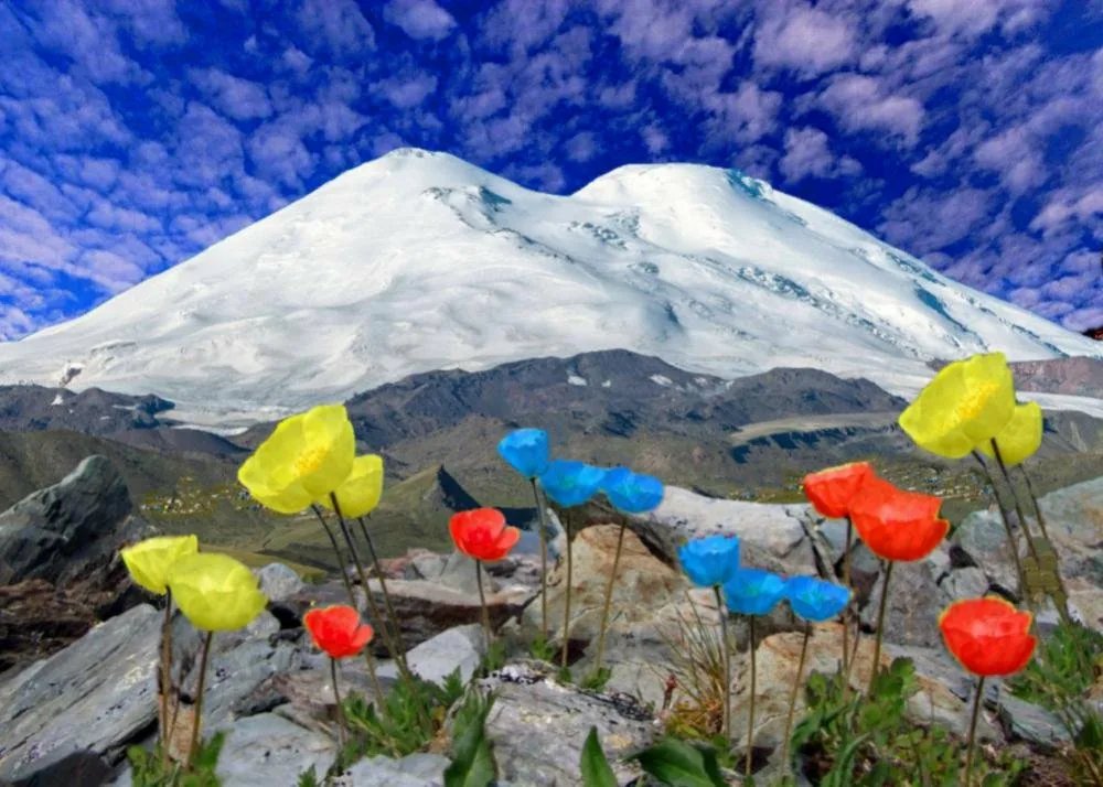 Эльбрус - цветы - оригинал