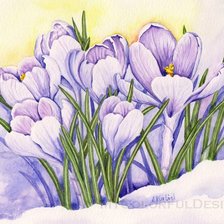 Схема вышивки «Крокусы»