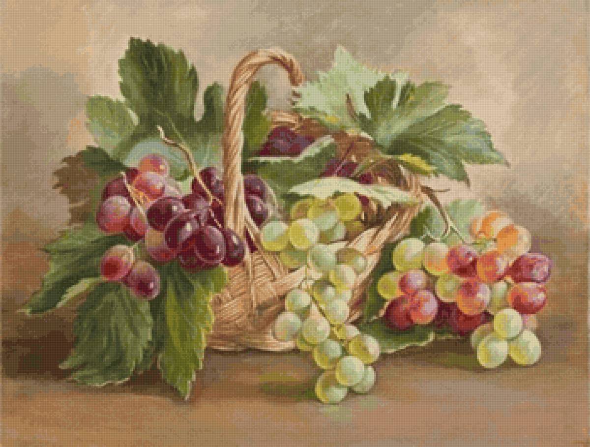 Корзина с виноградом - корзина, виноград - предпросмотр