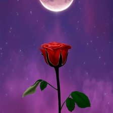 Схема вышивки «Vane»