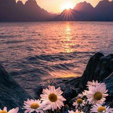 Схема вышивки «Vane»