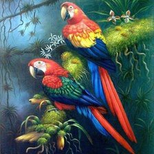 Схема вышивки «Попугаи»