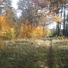 Схема вышивки «Осень»