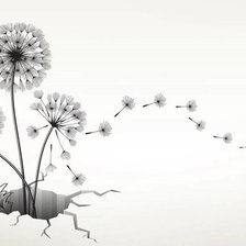 Схема вышивки «Одуванчики»