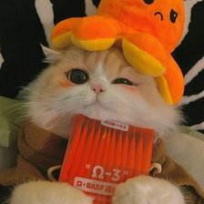 Схема вышивки «котик»