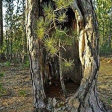 Схема вышивки «Колыбель»