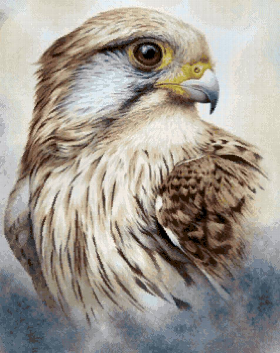 №2612462 - предпросмотр