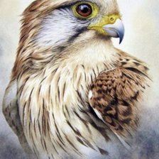 Схема вышивки «№2612462»