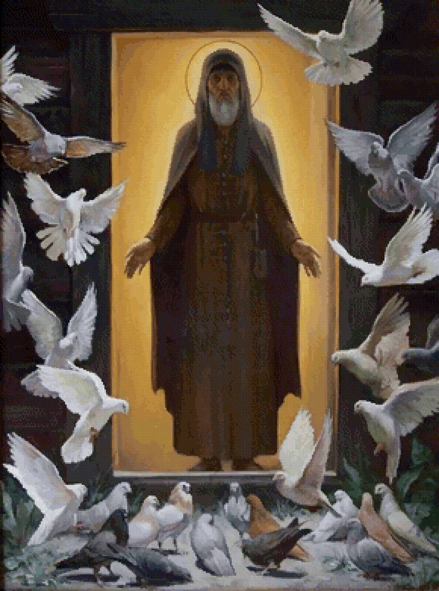 Религия - старец, голуби, птицы, религия - предпросмотр