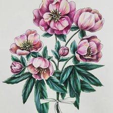 Схема вышивки «Пионы»