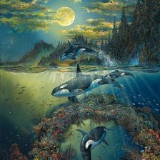 Схема вышивки «Подводный мир»