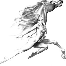 Схема вышивки «Стремительность»