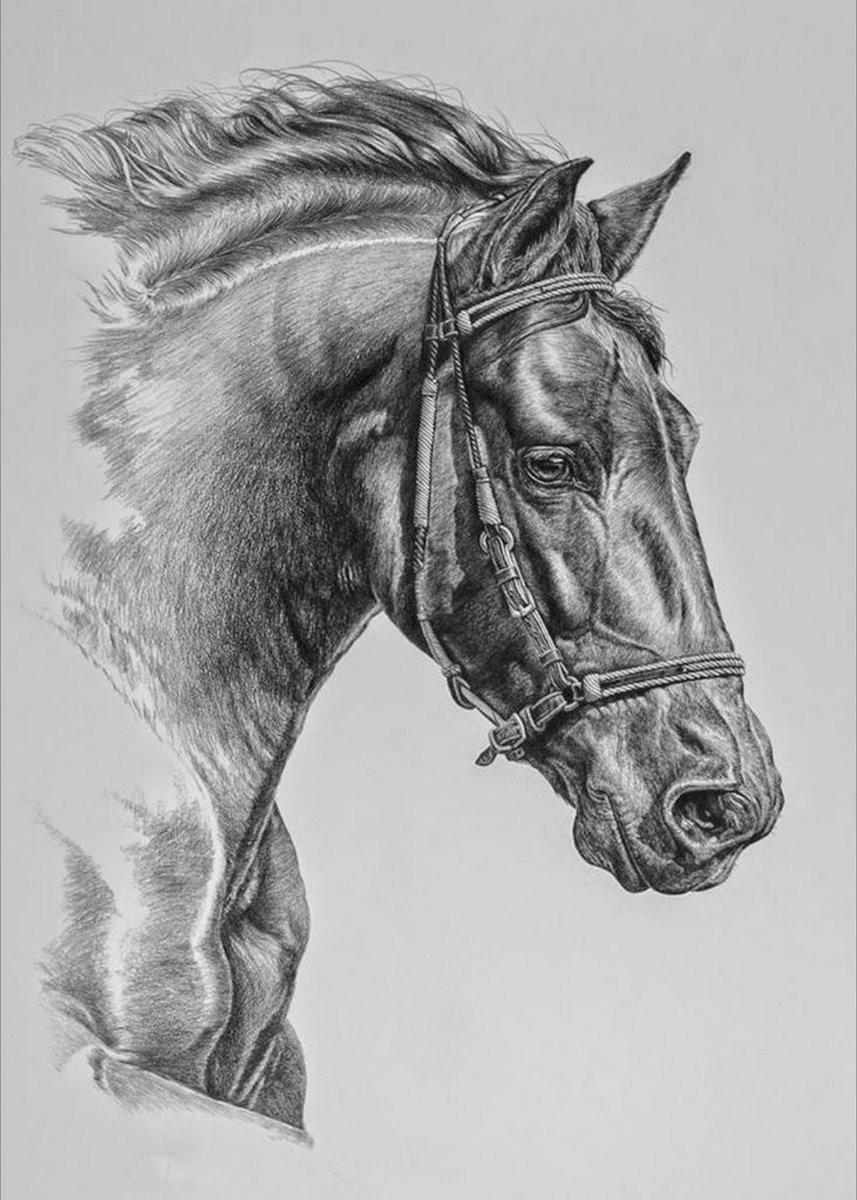 Конь - лошади, монохром - оригинал