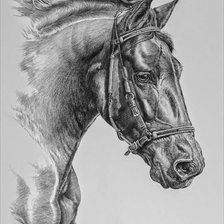 Схема вышивки «Конь»