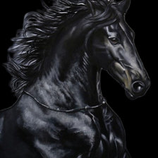 Схема вышивки «Вороной»