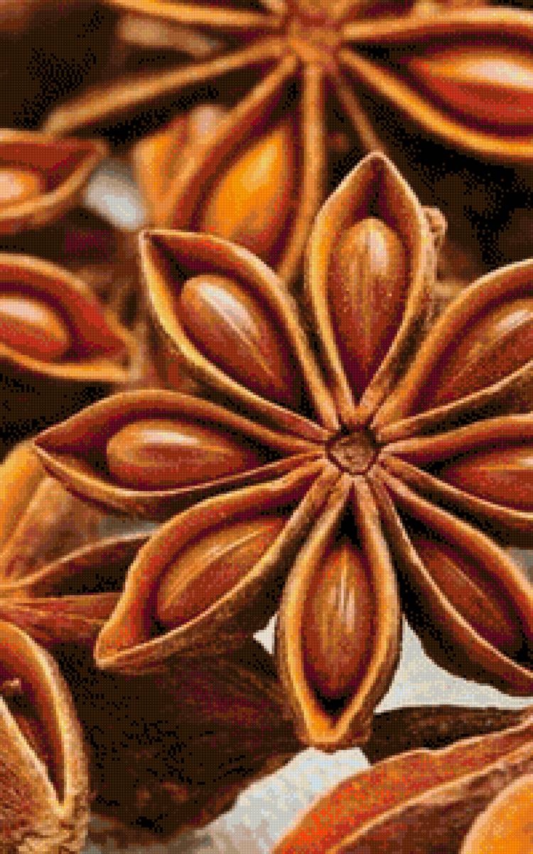 Бадьян - бадьян, кофе - предпросмотр