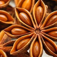 Схема вышивки «Бадьян»