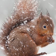 Схема вышивки «№2613263»