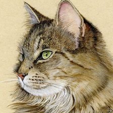 Схема вышивки «Портрет»