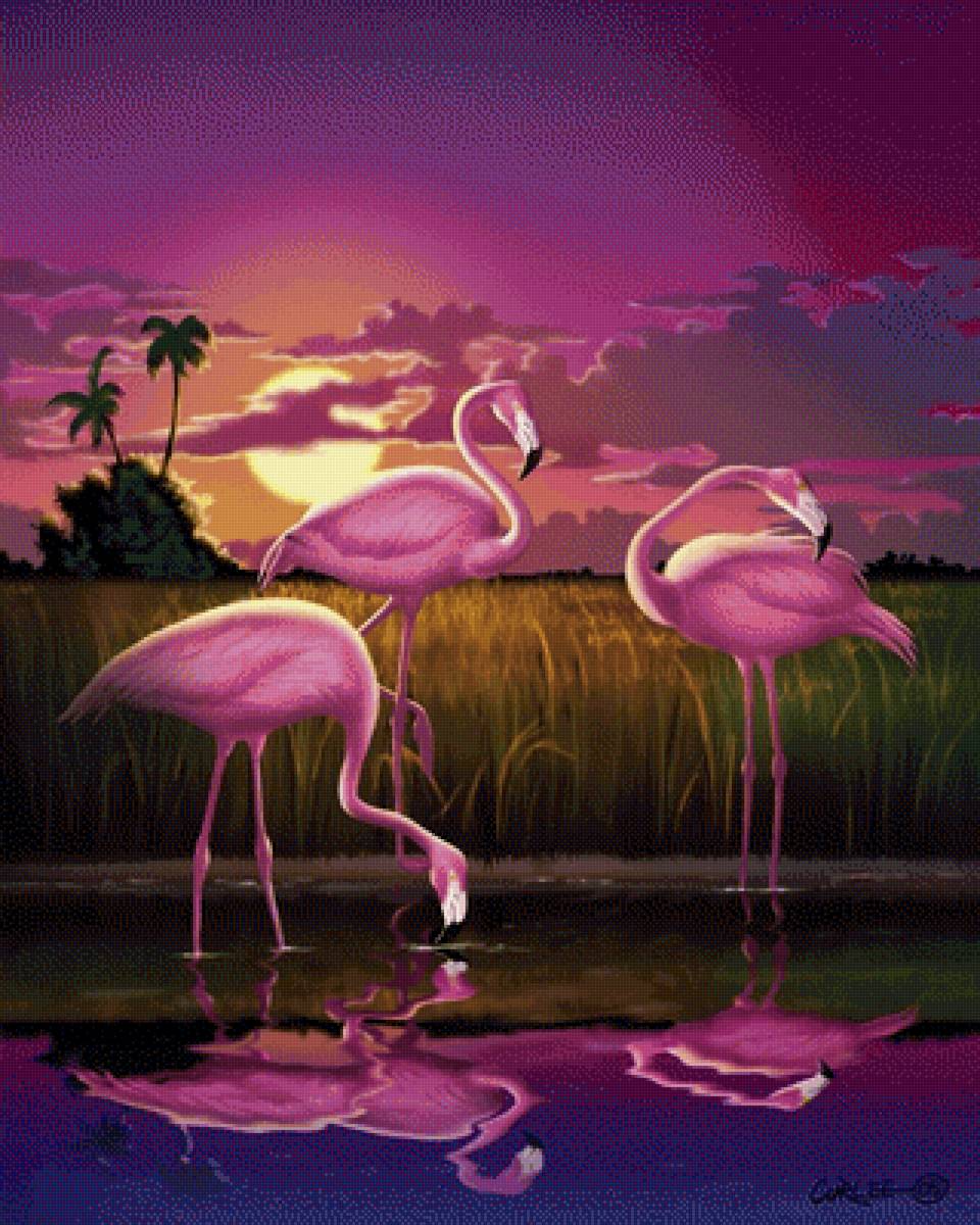 Розовый фламинго - закат, птицы, журавли, озеро - предпросмотр